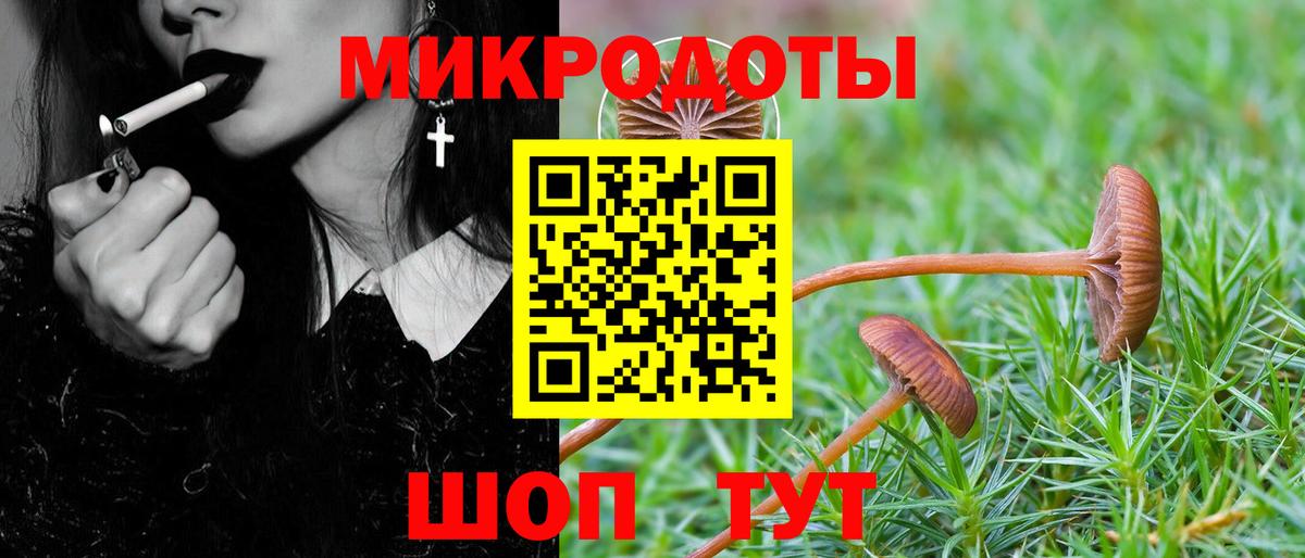 Янаул  Псилоцибиновые грибы GOLDEN TEACHER  Вход с VPN 